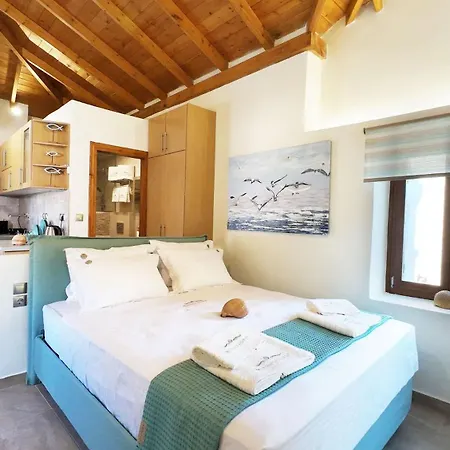 Myrsini's In Pelion Lejlighed *