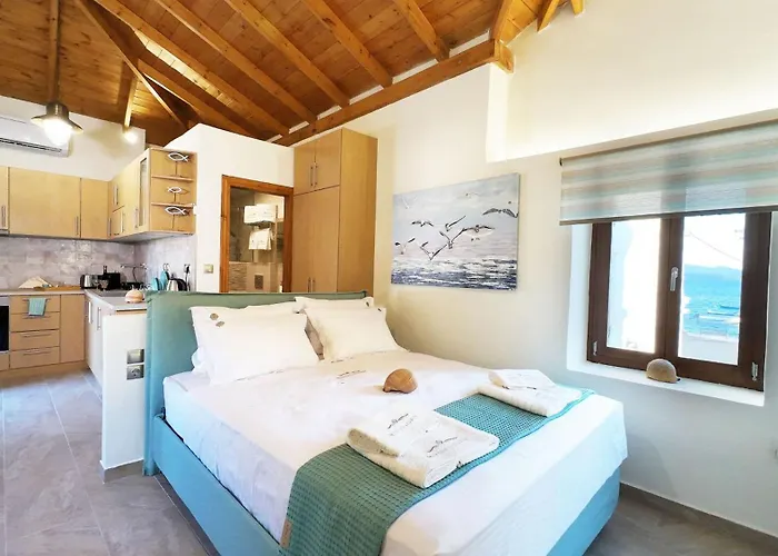 Myrsini's In Pelion Daire *